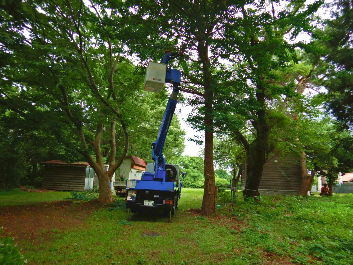 森町稲荷神社敷地内の除草作業及び落ち葉集積作業